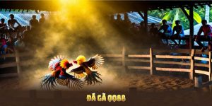 Đá Gà QQ88 Và Những Phương Pháp Đặt Cược Hiệu Quả