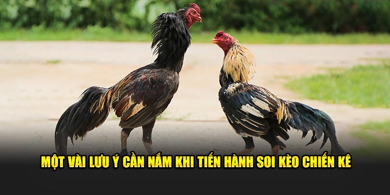 Một vài lưu ý cần nắm khi tiến hành soi kèo chiến kê